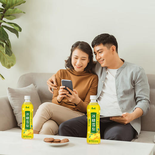 康师傅冰糖雪梨 500ml 商品图3