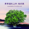 云顶壹号滇红茶中国红 40g/盒 商品缩略图6