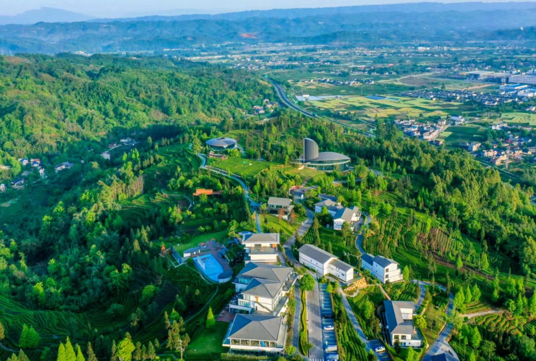 【万亩茶海·青杠坪茶客空间】￥88起享围炉煮茶或餐饮套餐，￥268起抢住茶园美宿皆含早，平日周末不加价，亲子遛娃首选！