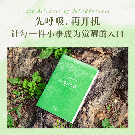 正念的奇迹（全球畅销超500万册的“心灵觉醒圣经” ） 商品图3