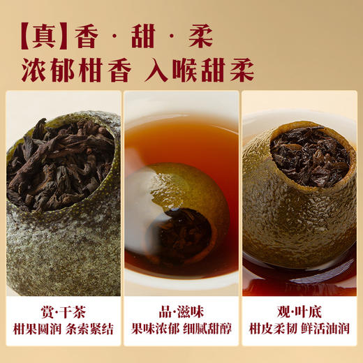 八马茶业 | 真芯·广西六堡茶、新会柑皮小青柑250g 商品图5