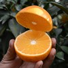 优选丨爱媛38果冻橙#皮薄肉嫩，果香浓郁，酸甜多汁，可以吸着吃的鲜橙，无核无渣，老少皆宜，补水VC 商品缩略图2