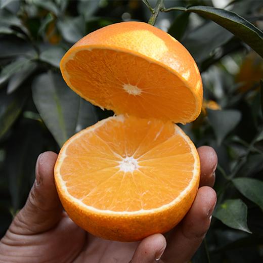 优选丨爱媛38果冻橙#皮薄肉嫩，果香浓郁，酸甜多汁，可以吸着吃的鲜橙，无核无渣，老少皆宜，补水VC 商品图2