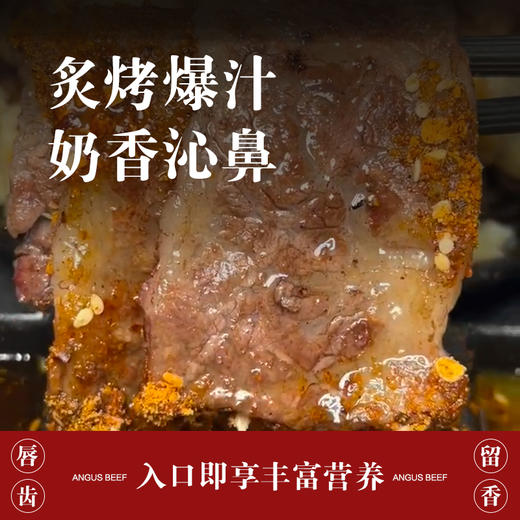 吉农纪阿根廷谷饲120天安格斯肥牛烤肉片300g 商品图2