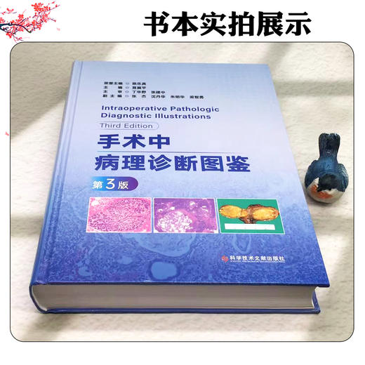 手术中病理诊断图鉴 第3三版 笪冀平 主编 远程手术中冷冻切片病理诊断与质量控制 甲状腺疾病 9787523522851科学技术文献出版社 商品图2
