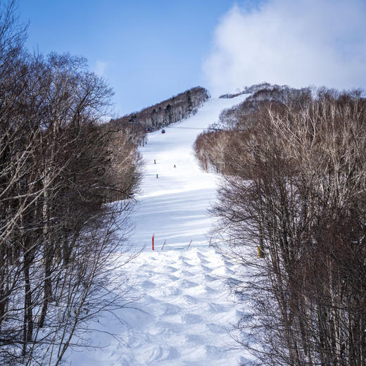【26-27雪季早鸟】3晚/5晚【北海道佐幌ClubMed度假村】一价全包！含三餐酒水、儿童托管、专业滑雪课，家庭度假胜地~ 商品图13