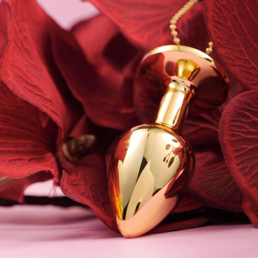 纵锦浪里肛塞男外出长期佩戴后庭调教插屁股情趣女用品sm肛门开发 商品图2