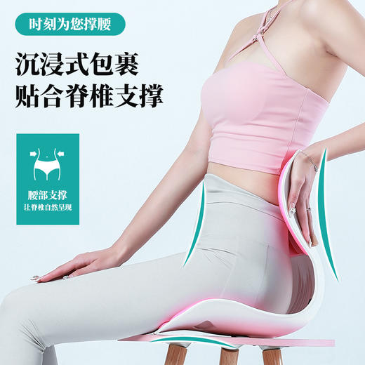 美仕达MS-Y1护腰矫姿坐垫 商品图2