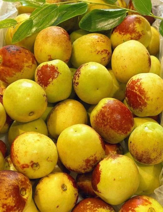 脆甜冬枣·精品果 商品图4