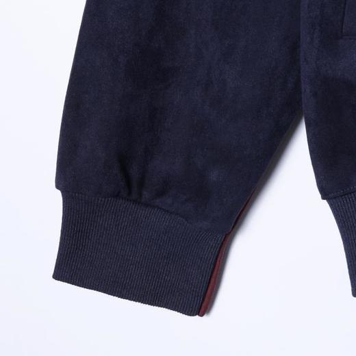 WT230SDSA男士秋冬新款痞帅男装美式绒面撞色拉条立领拉链卫衣百搭时尚 商品图4