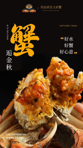 正宗阳澄湖大闸蟹（核心湖区）15年品牌保证【蟹鲜生】云南授权经销商（全国顺丰包邮）