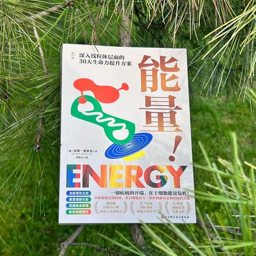 能量！一切疾病的开端，在于细胞能量危机！ 商品图1