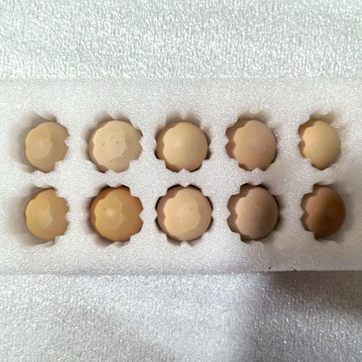 满百包邮 彩虹雨 农家散养新鲜粉壳鸡蛋柴土鸡蛋 初产蛋10枚 商品图4