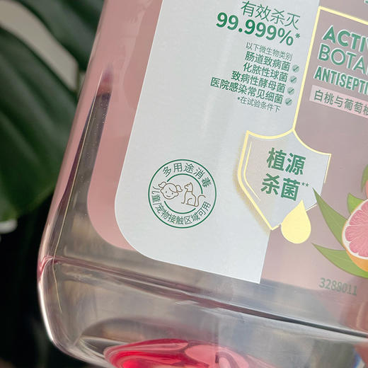 【滴露消毒液】衣物/家居都有 杀菌去味真的牛 家中常备好物~新老包装混发 预售3天 商品图7