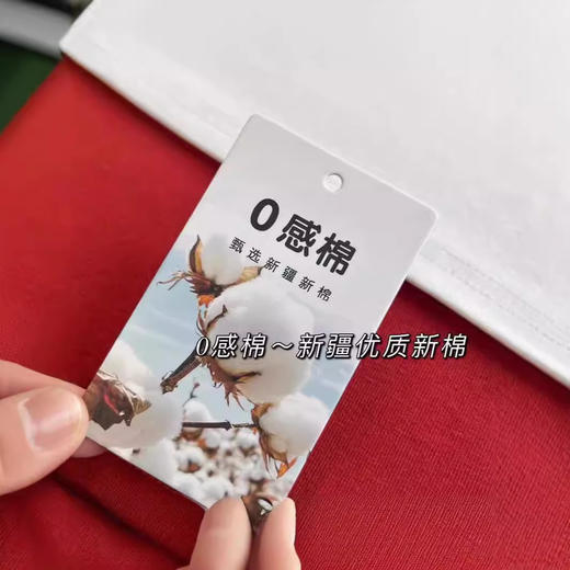 【断码清仓 无退换】2025高端新疆棉纯棉女装打底衫休闲简约基础正肩短袖T恤女春夏 商品图3