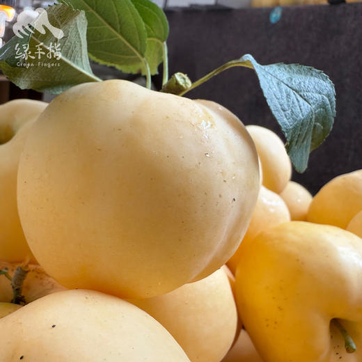 生态秦玉苹果（售完即止） | 合作生产*Ecological Qinyu  Apple | Partner Production 商品图3