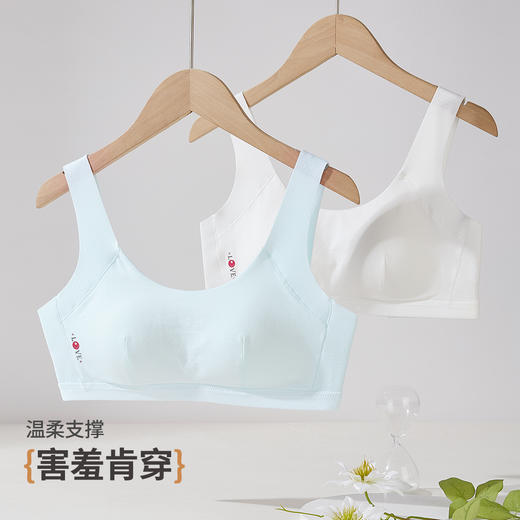 雅黛俪少女内衣青春发育期女孩高中生文胸 商品图4
