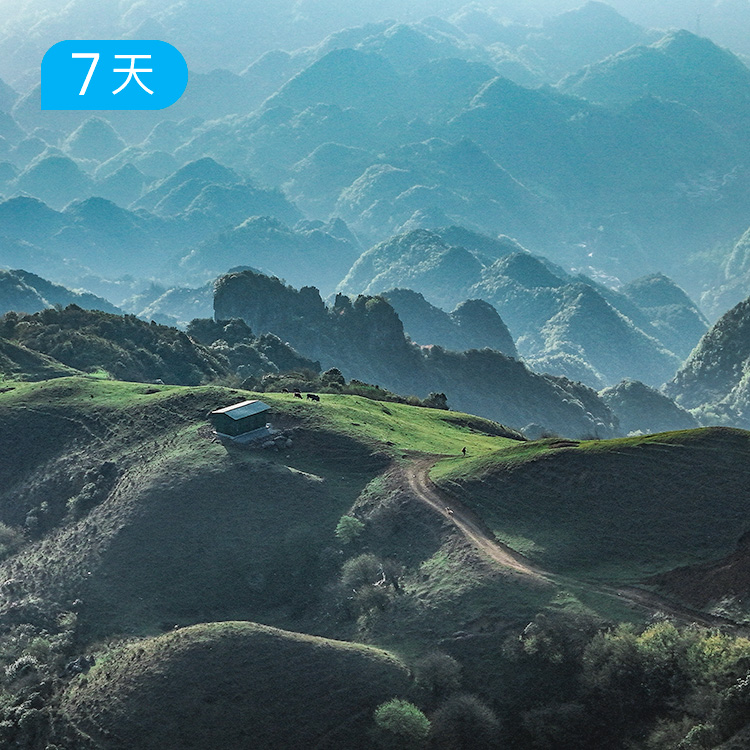 贵州屋脊70公里｜首条贵州自虐路线 乌蒙山+韭菜坪+阿西里西+百草坪 7日