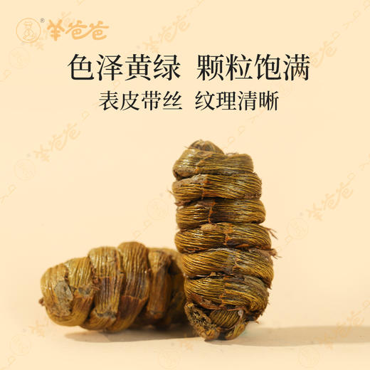 【铁皮石斛】 云南石斛 胶质浓郁 炖汤入茶 商品图3