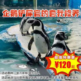 【半日营·12月27日-1月25日】120元起抢企鹅铲屎官的自我修养，企鹅讲堂、与企鹅近距离互动拍照、制作饵料喂食企鹅，累积2小时公益时长
