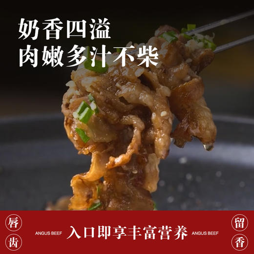 吉农纪阿根廷谷饲120天安格斯肥牛薄切片 商品图2