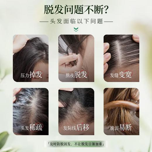 【新品上线 买2瓶送护发素1瓶】敬修堂草本防脱精华洗发水 防脱护发蓬松滋养植物洗发 商品图3