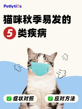 养猫必看｜🐱秋季易发的五类疾病