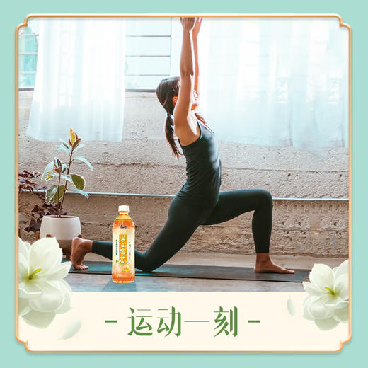 康师傅茉莉蜜茶 500ml 商品图5