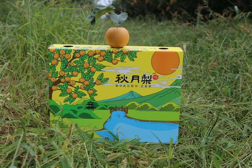 【产地直发包邮】畛甜—秋月梨 商品图3