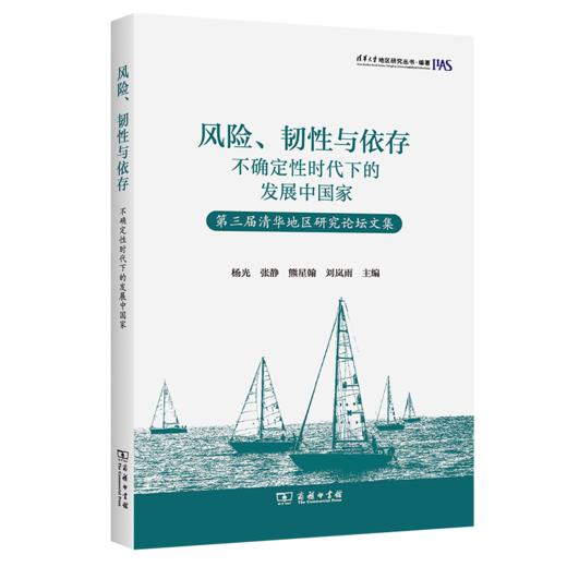 风险、韧性与依存：不确定性时代下的发展中国家——第三届清华地区研究论坛文集 商品图0