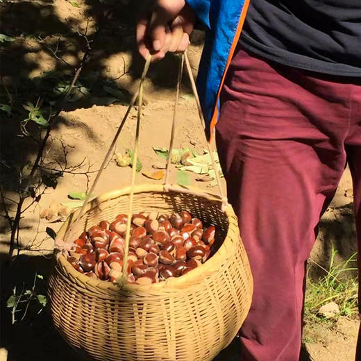 2025年【新鲜怀柔板栗油栗 | 拍下可发出】10年生态种植 万里长城脚下的大山深处！自然成熟 香甜软糯 生吃熟吃均可 商品图5