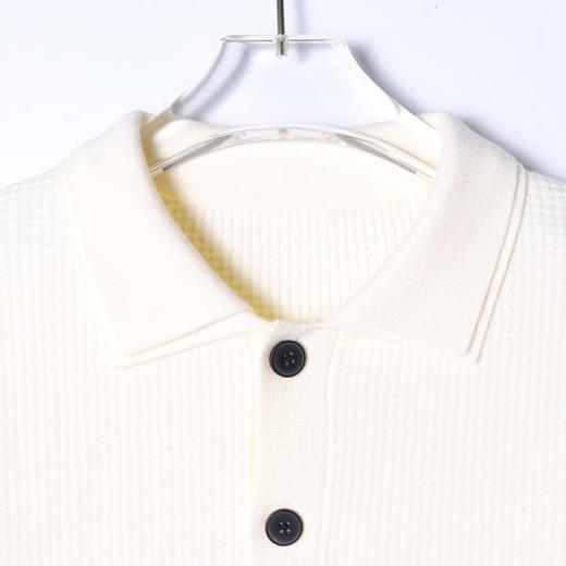 SDSA男士秋冬新款痞帅男装韩版纯色双层polo领针织衫百搭套头毛衣 商品图2