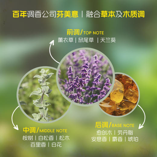 南非ingram's英格莱恩【乳霜  护脚膏】脚后跟龟裂 手足护理乳霜-分销 商品图6