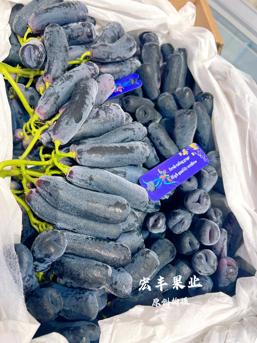 【宏丰精选】 高端送礼推荐  金手指黑提  超级新鲜果粉足 口感脆甜 硬度好 商品图1