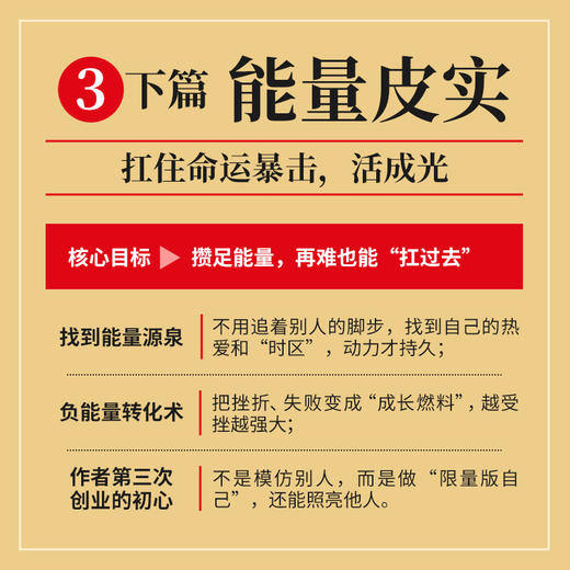 做个皮实的人：穿越人生的顺境逆境 何思平著任性成功励志书籍把自己变成稀缺资产作者新作 商品图3