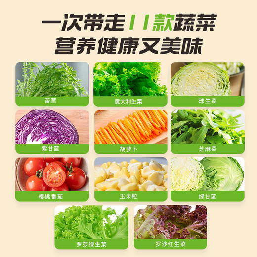月度套餐组合开袋即食按时送11种新鲜蔬菜混合沙拉管理期轻食代餐 商品图2