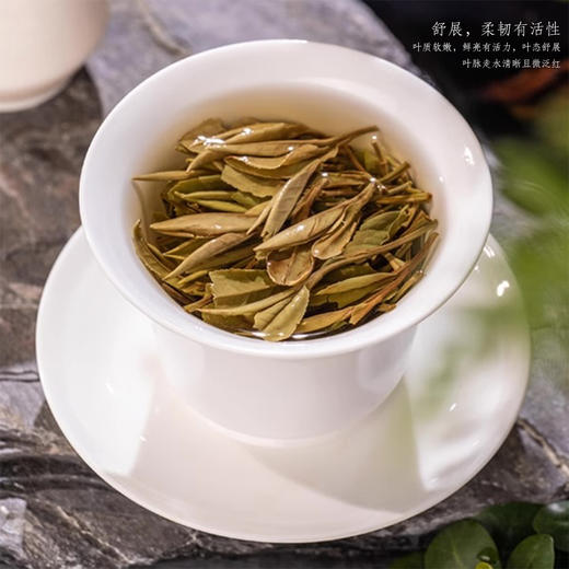 【静思书轩】净斯福鼎白茶白牡丹140g(35g*4) 商品图4