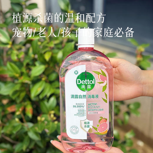 【滴露消毒液】衣物/家居都有 杀菌去味真的牛 家中常备好物~新老包装混发 预售3天 商品图2