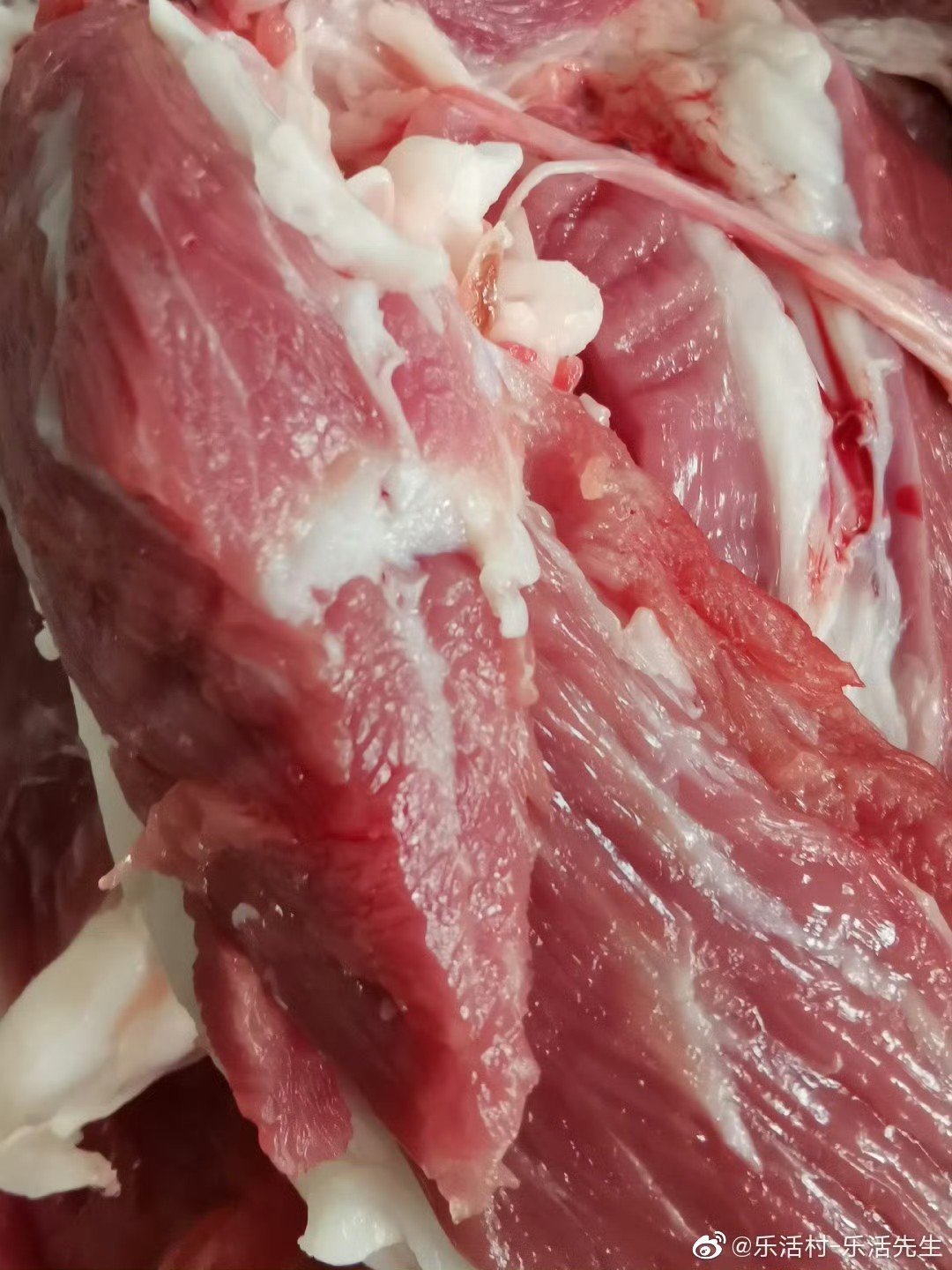 黑猪肉---（滦平）