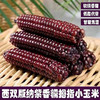 云南西双版纳紫拇指玉米2斤礼盒 软糯小玉米 商品缩略图0