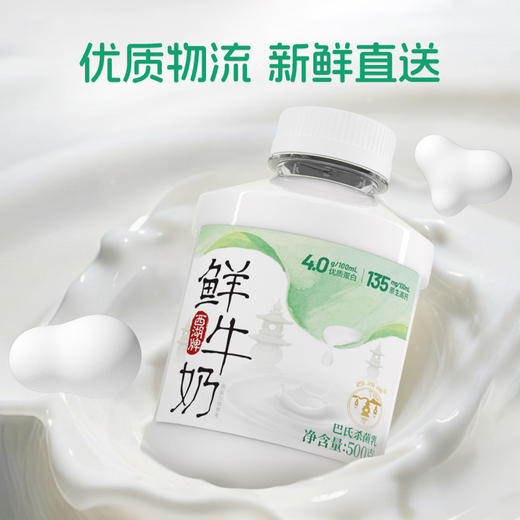 “中华老字号” 西湖牌鲜牛奶 4.0优质乳蛋白 135mg原生高钙 浙食链溯源 巴氏杀菌乳  冷链配送 500g*5瓶 商品图2