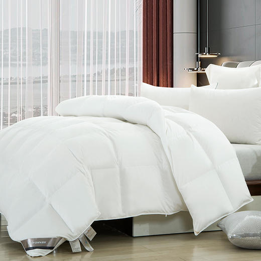 鑫缘  精品白鹅绒被 EYBD 商品图0