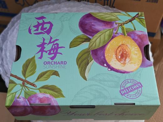 包装紫色西梅礼盒（领秀店） 商品图0