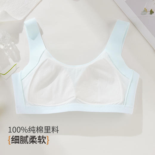 雅黛俪少女内衣青春发育期女孩高中生文胸 商品图3