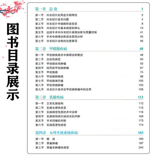 手术中病理诊断图鉴 第3三版 笪冀平 主编 远程手术中冷冻切片病理诊断与质量控制 甲状腺疾病 9787523522851科学技术文献出版社 商品图3