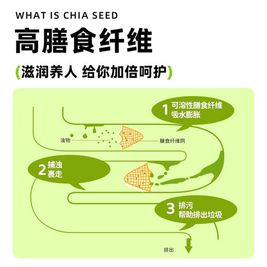 有机奇亚籽官方正品饱腹羽衣甘蓝粉奇亚籽肥减专用独立小包装 商品图3