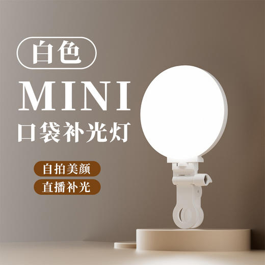 【补光无死角！走到哪拍到哪】口袋补光灯充电款手机直播笔记本电脑视频户外拍摄迷你美颜打光灯。ha 商品图3