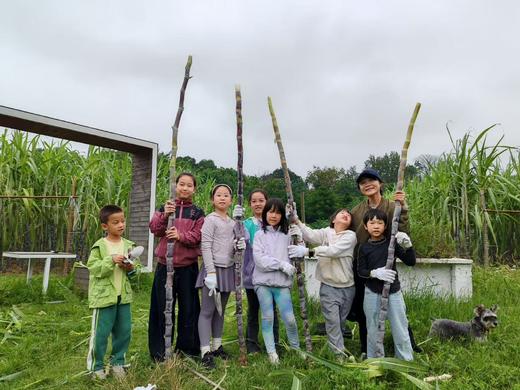 单人 4大农耕 体验券  不含门票 商品图1