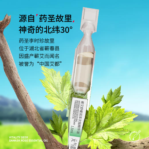 元气地带【暖宫贴】金钗石斛蕲艾精油 商品图5