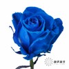 厄瓜多尔单头玫瑰 | 蓝色天鹅绒 VELVET BLUE 商品缩略图3